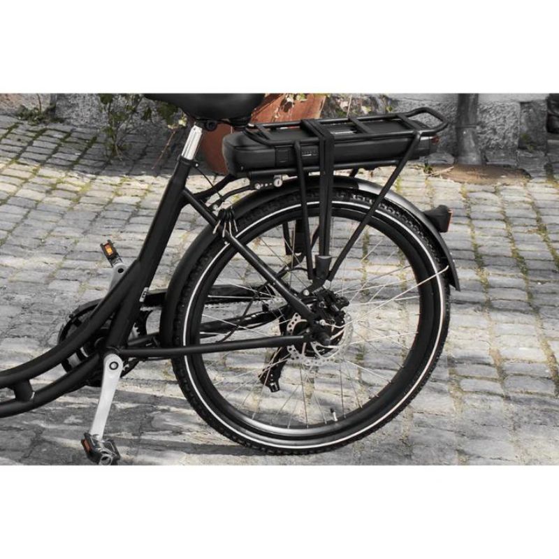AMCargoBikes Ultimate Curve - Cargo Electric Bike - Rear Shot