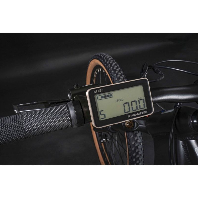 Claud Butler Wrath 2.0 Cues - Display - E-Bikes Express