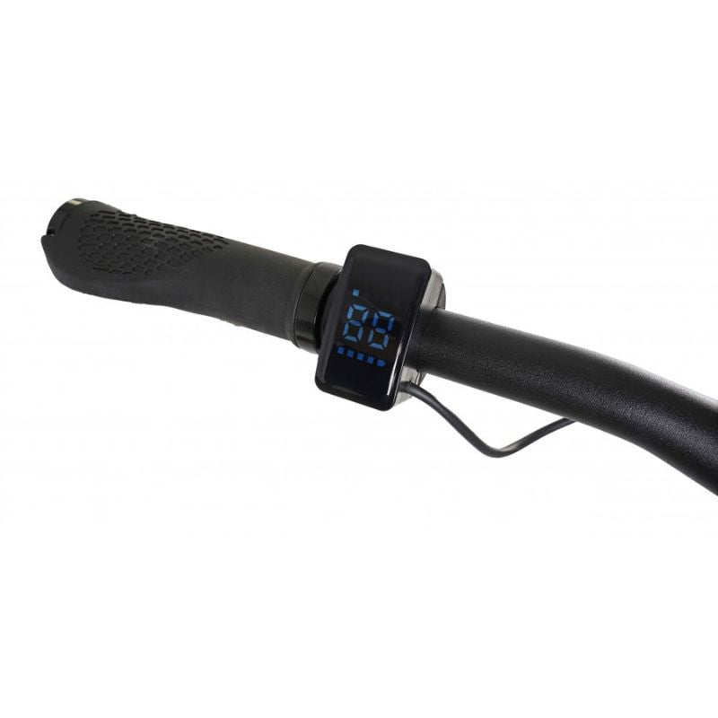 Dawes Scenic Low Step - Electric Hybrid Bike - Display