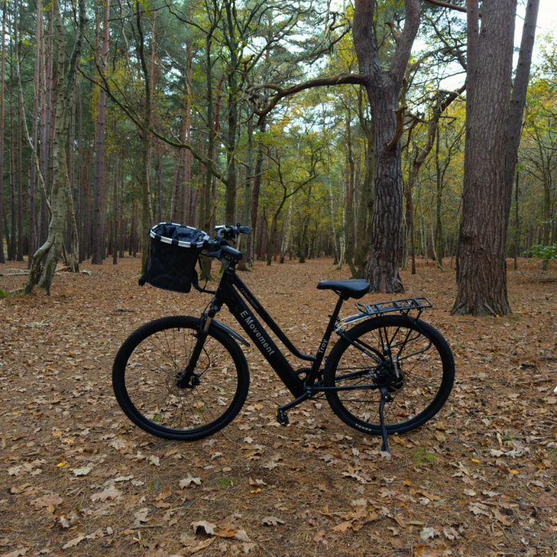 E-Movement Troy City - Commuter Electric Bike - Outside Shot