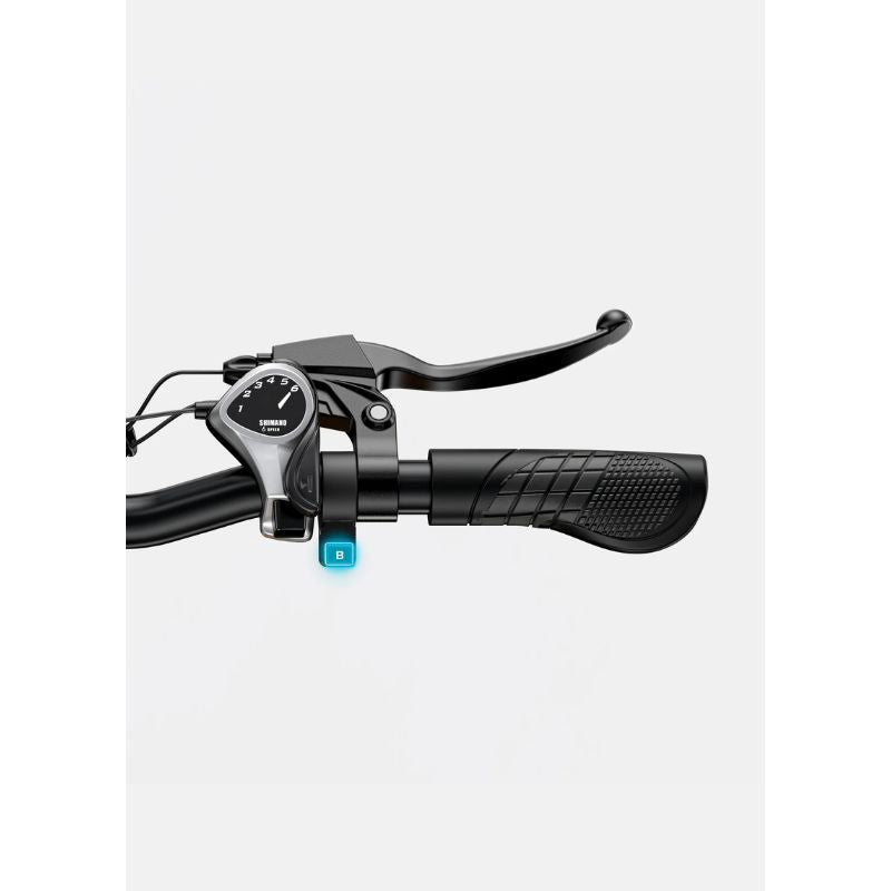 Engwe EP-2 Boost - Folding Electric Bike - Handle