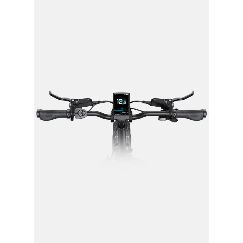 Engwe L20 3.0 Pro - Folding Electric Bike - Handlebar