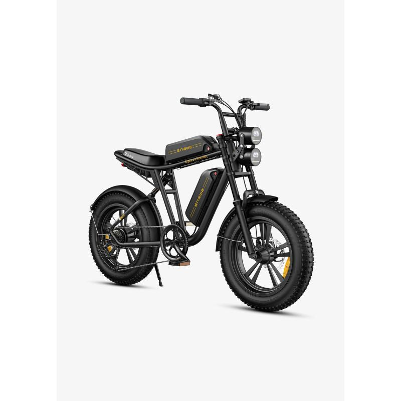 Engwe M20 - Fat Tyre Off-road Electric Bike - Black Double Battery
