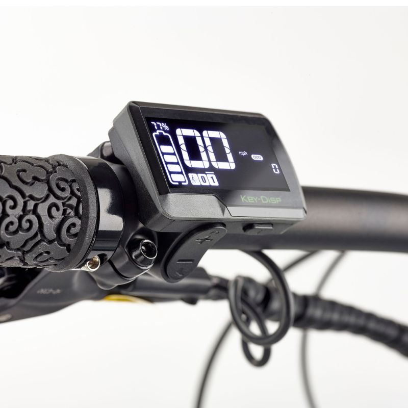 Ezego Trail Destroyer II - Electric Bike - Display