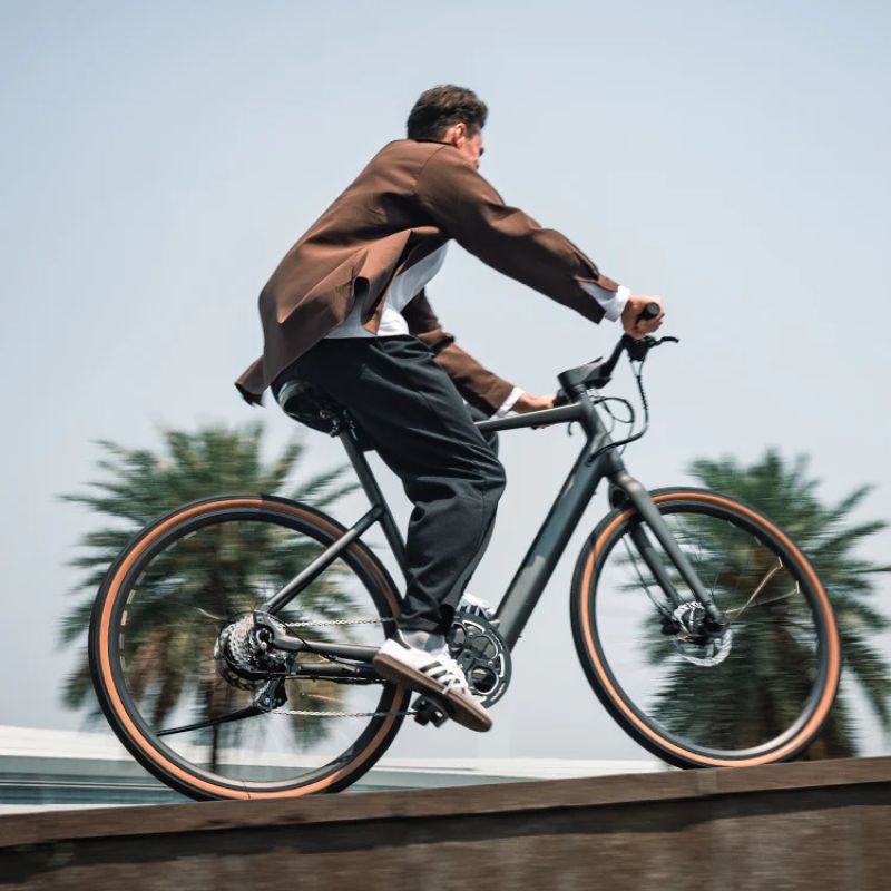 Fiido C21 - Gravel & City E-Bike - 250W