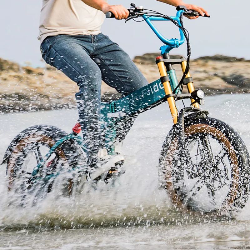 Fiido M1 Pro - Off - road Fat Tyre Folding Electric Bike - E - Bikes Express
