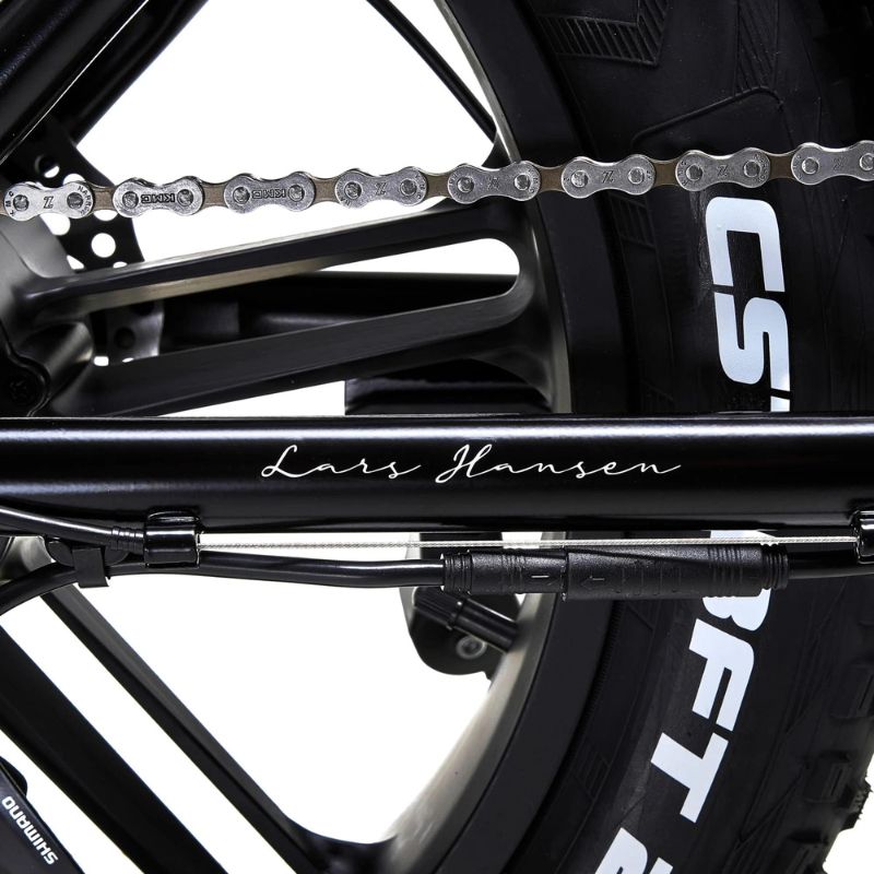 Hygge Vester (2024) - Step Foldable E-Bike - black