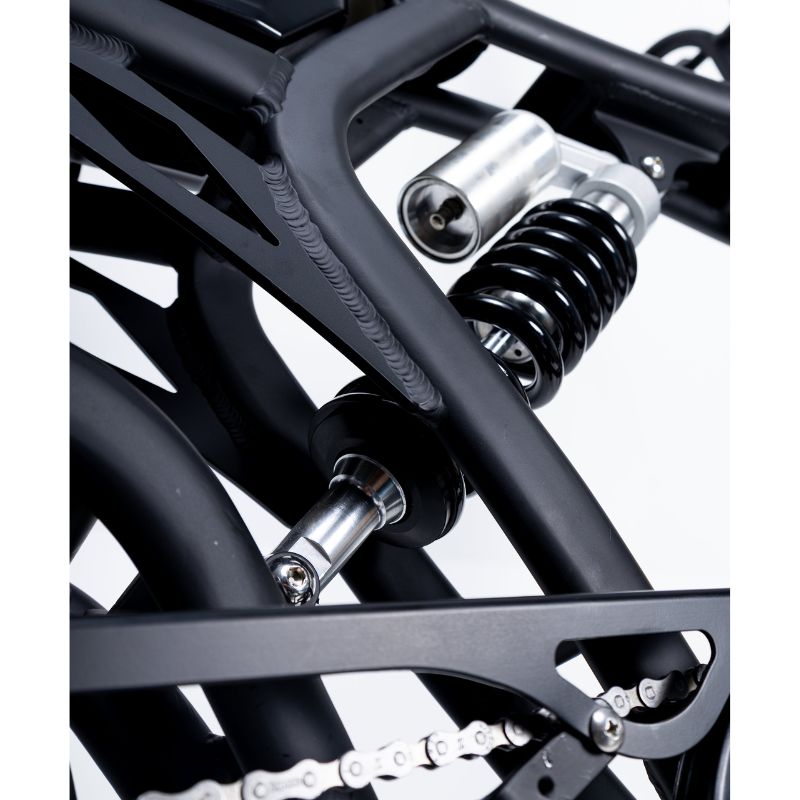 Knaap RTD V2 Electric Bike 250W