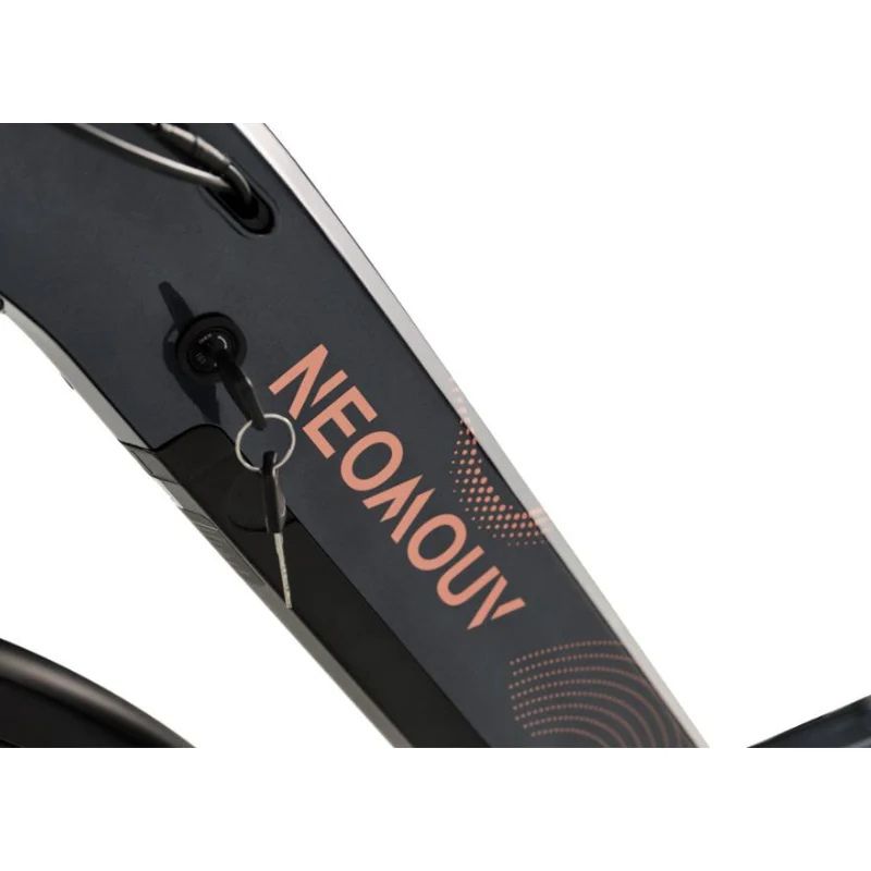 Neomouv Elaia 2 - Step Through Mid-Drive Electric Bike - Frame