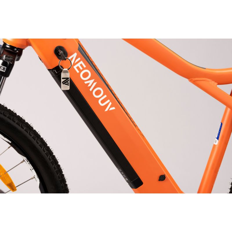 Neomouv Enara 2 - Electric Mountain Bike - Frame