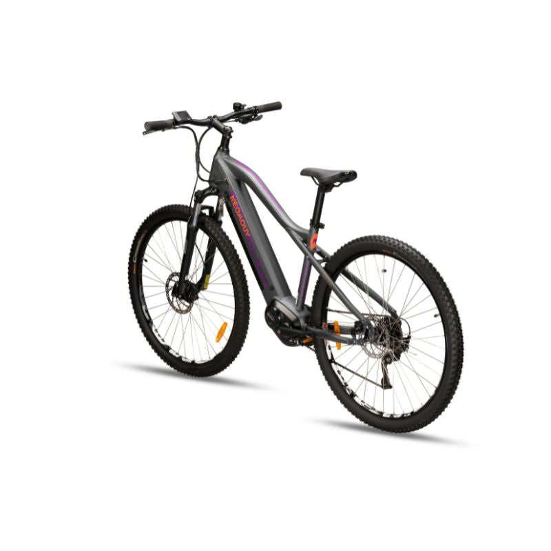 Neomouv Enara 2 - Electric Mountain Bike - Grey