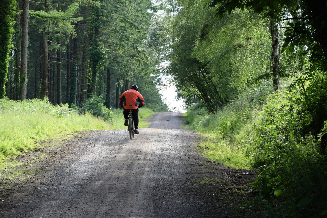 Choosing an E-bike Motor: 3 Vital Things to Consider - E-Bikes Express