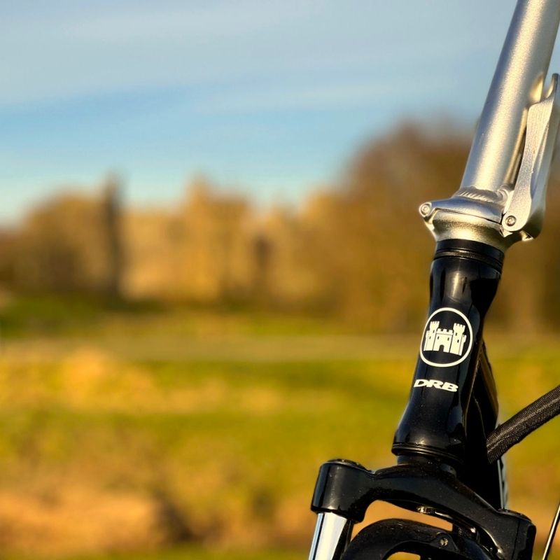 Dallingridge Oxford - Headbadge