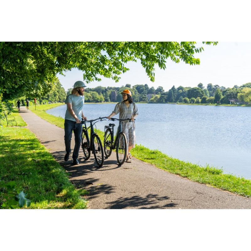 Dawes Scenic Low Step - Electric Hybrid Bike