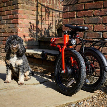 E-Go Lite - Folding Electric Bike - Red Folded