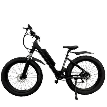 E-Movement Aries - Mountain Electric Bike - Black