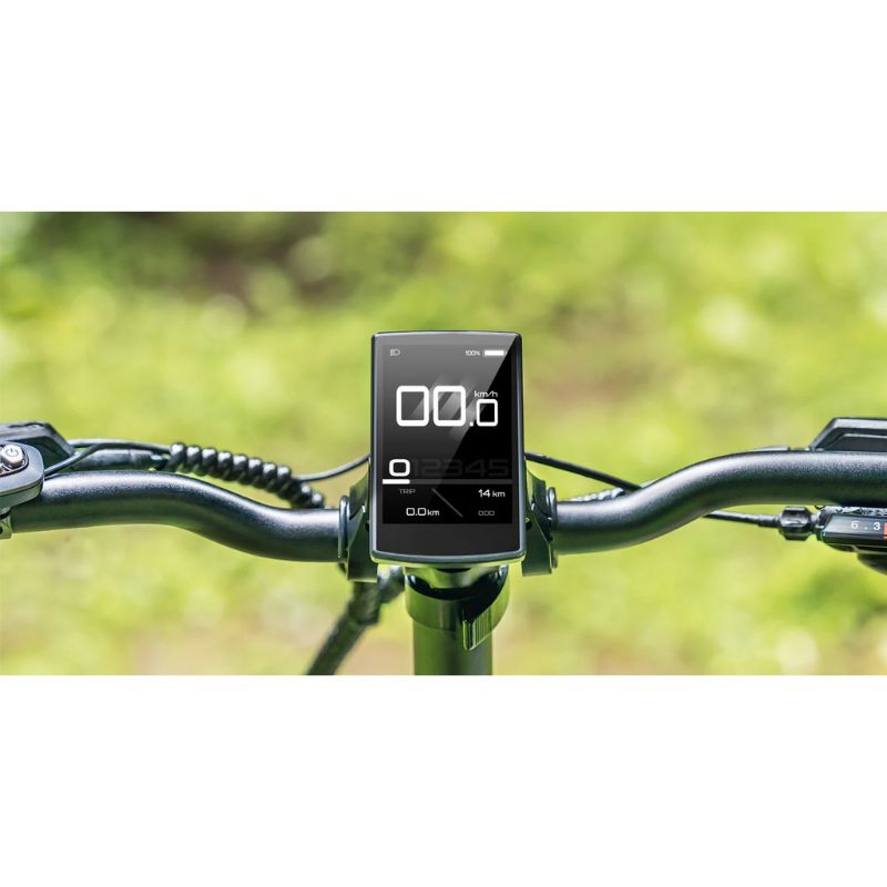 Engwe Engine Pro 3.0 Boost - Display