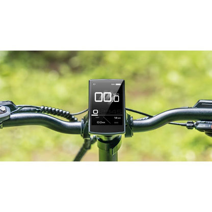 Engwe Engine Pro 3.0 Boost - Display