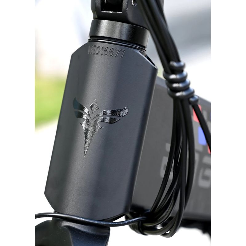 Engwe Engine X - Black Frame