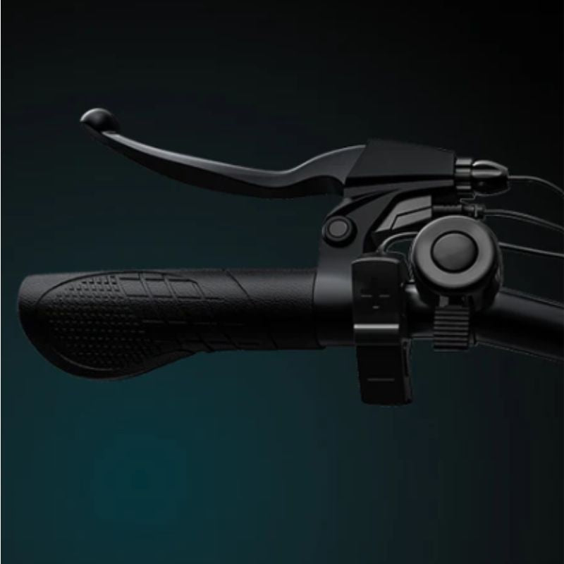 Engwe Engine X - Cruise Control