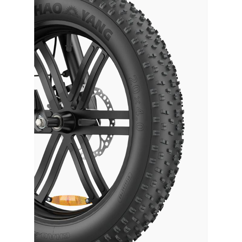 Engwe L20 Boost - Fat Tyres