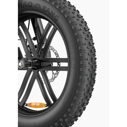 Engwe L20 Boost - Fat Tyres