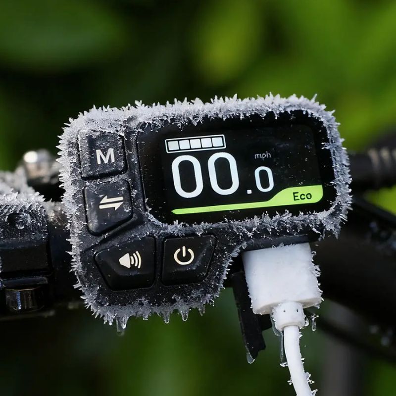 Fiido C11 - City Step Through Electric Bike - Display