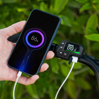 Fiido C11 - City Step Through Electric Bike - Phone Charge