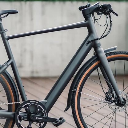 Fiido C21 - Gravel & City E-Bike - 250W