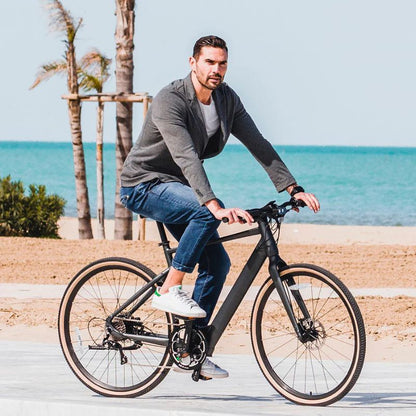 Fiido C21 - Gravel & City E-Bike - 250W