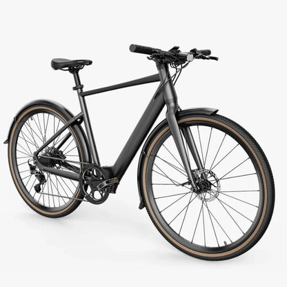 Fiido C21 - Gravel & City E-Bike - 250W