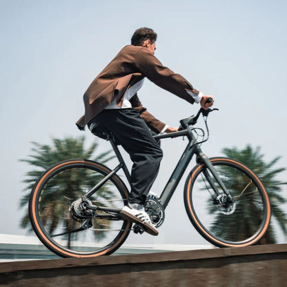 Fiido C21 - Gravel & City E-Bike - 250W