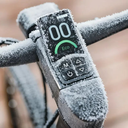 Fiido C21 - Gravel & City E-Bike - Display