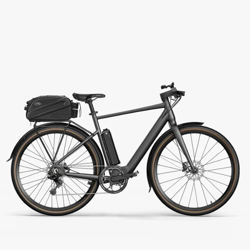 Fiido C21 - Gravel & City E-Bike - Rear Rack