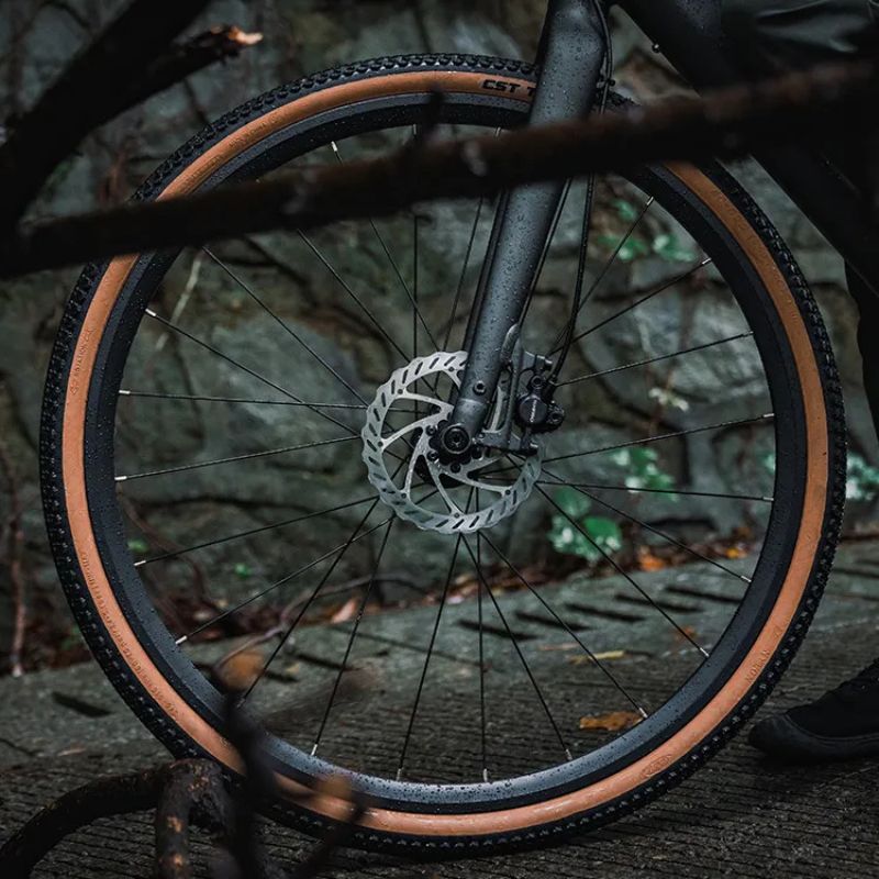 Fiido C21 - Gravel & City E-Bike - Tyre
