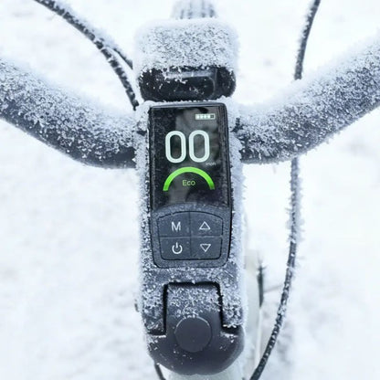 Fiido C700 - City Electric Bike - Display