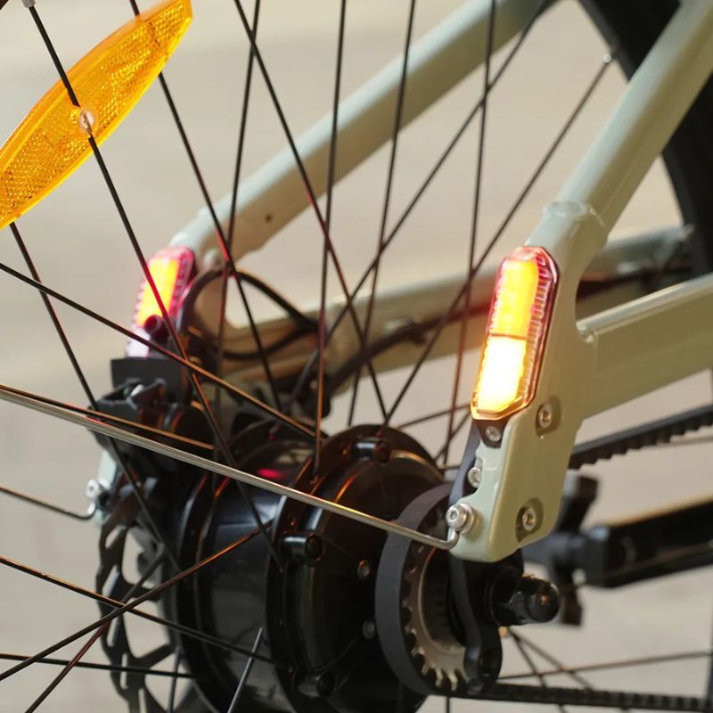 Fiido C700 - City Electric Bike - Motor