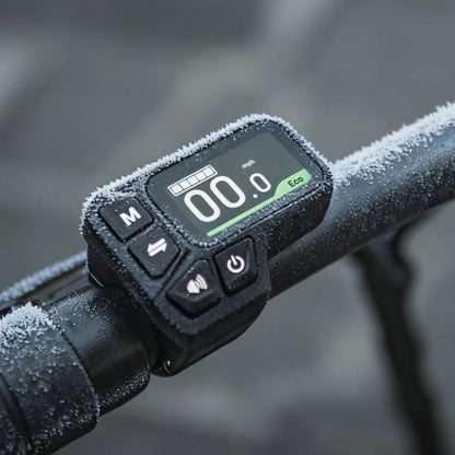 Fiido L3 - Long Range Folding Electric Bike - Display