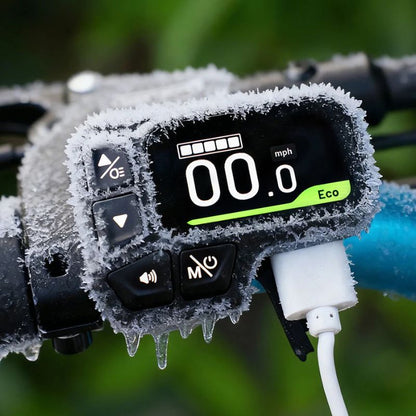 Fiido M1 Pro - Off-road Fat Tyre Electric Bike - Display