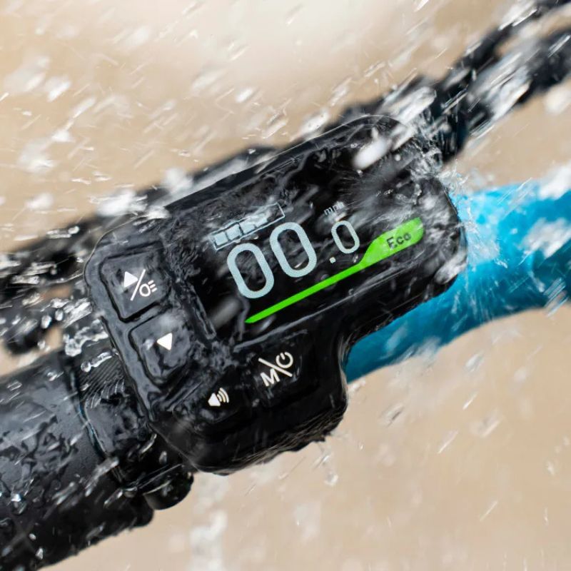 Fiido M1 Pro - Off-road Fat Tyre Electric Bike - Display