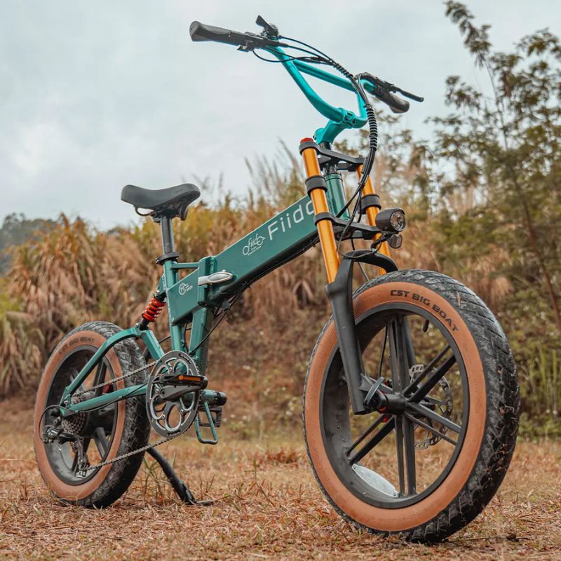 Fiido M1 Pro - Off-road Fat Tyre Electric Bike