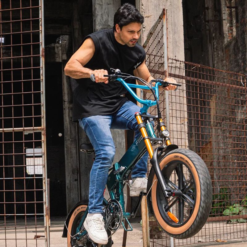 Fiido M1 Pro - Off-road Fat Tyre Electric Bike