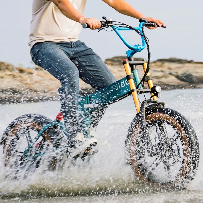 Fiido M1 Pro - Off-road Fat Tyre Electric Bike