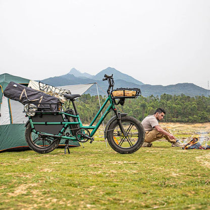 Fiido T2 - Longtail Cargo Electric Bike - Green