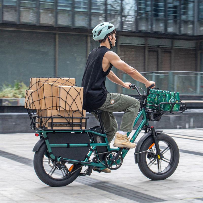 Fiido T2 - Longtail Cargo Electric Bike - Green
