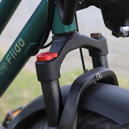 Fiido T2 - Longtail Cargo Electric Bike - Front Suspension