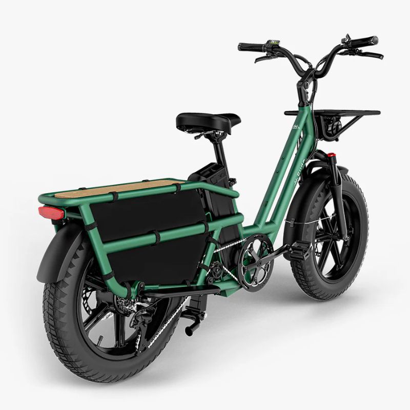 Fiido T2 - Longtail Cargo Electric Bike - Green