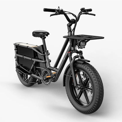 Fiido T2 - Longtail Cargo Electric Bike - Grey
