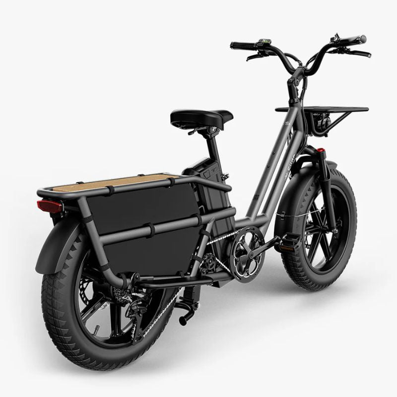 Fiido T2 - Longtail Cargo Electric Bike - Grey