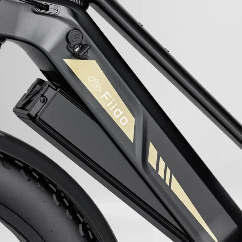 Fiido Titan - Off-road Fat Tyre Cargo Electric Bike - Battery